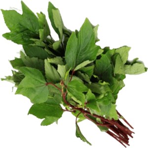 Gongura Lvs PER LB