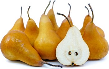 Pears Bosco PER LB