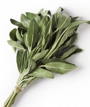 Sage Leaves EACH