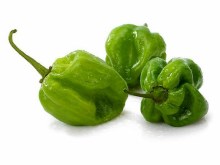  Pepper Habanero PER LB