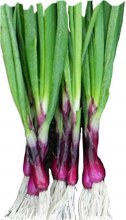  Scallions Purple EACH