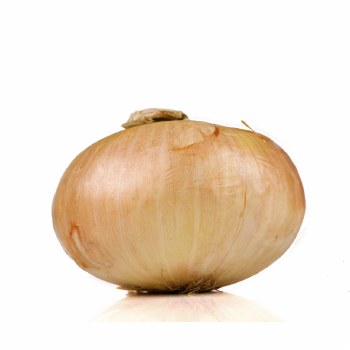 Onion Sweet per LB