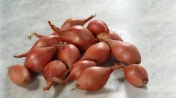 Onion Shallot PER LB