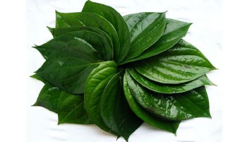 Leaves Paan EACH PACK