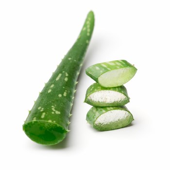 Aloe Vera EACH