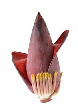 Banana Flower 2 LB @1.49 per LB