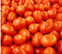 Indian Gardening Tomato PER LB 