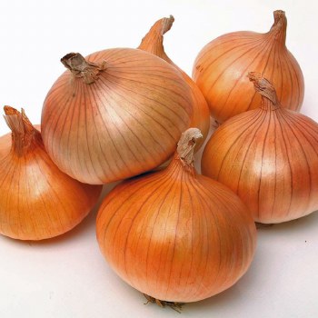 Onion Yellow PER LB