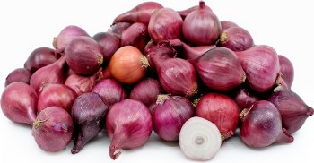 Onions Pearl Red PER LB