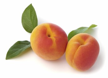 Apricots per LB