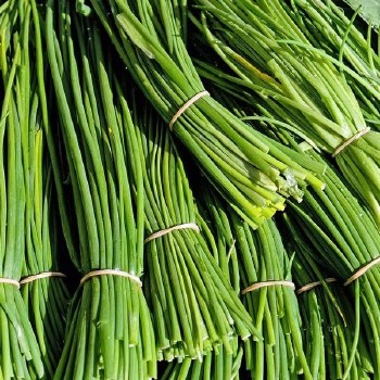 Chives Bunch EACH