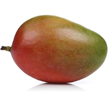 Mango Kent EA