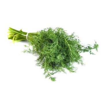 Dill Bunch EACH