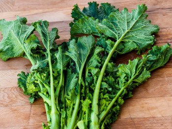 Turnip Leaves Bunch