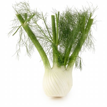 Anis Fennel EACH