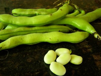 Beans Fava PER LB