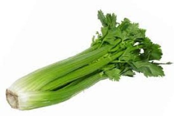 Celery Bunch