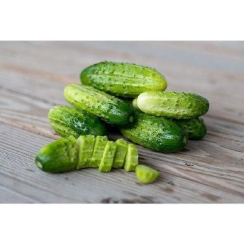 Cucumber Pickling PER LB