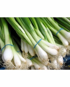 Green Onion PER LB