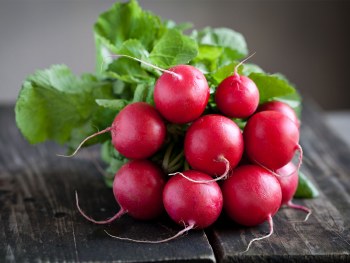 Radish Bunch EACH