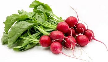 Radish Red PER LB