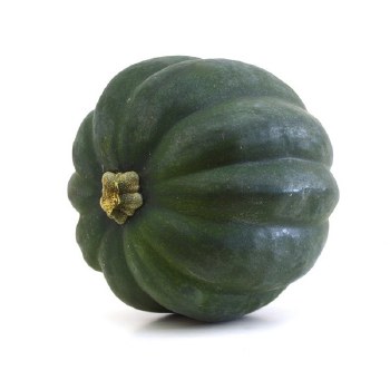 Squash Acorn PER LB