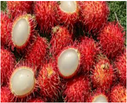 Malaysian Fruit rambutan PER LB